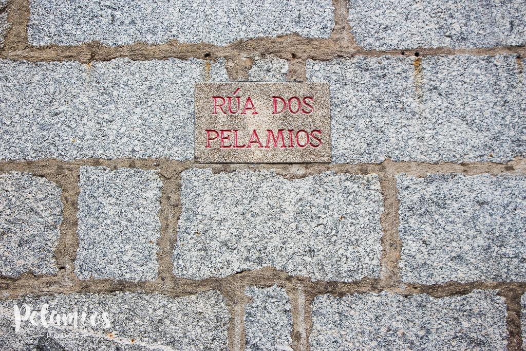 Апартаменты Pelamios House Сантьяго-де-Компостела Экстерьер фото